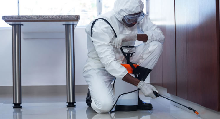 Dedetização comerciais e residenciais